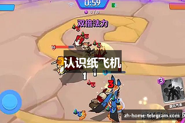 认识纸飞机