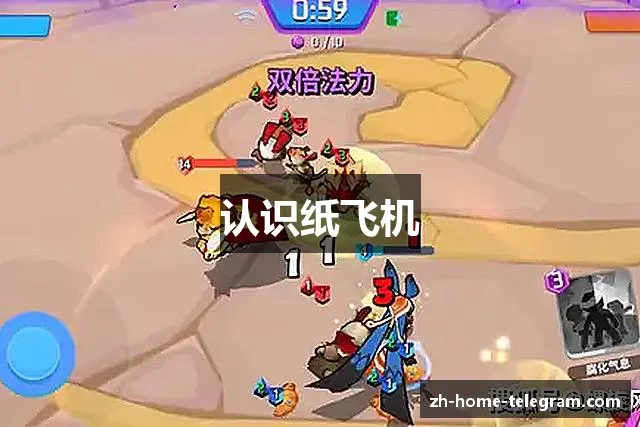 认识纸飞机